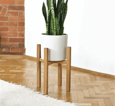 ΚΑΣΠΟ LITHOPS ΚΑΣΠΟ LITHOPS